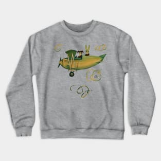 Flight Crewneck Sweatshirt